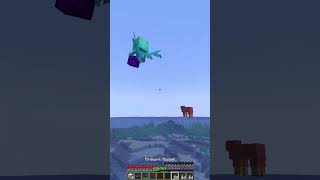 How To Find Nether Portal Last Block Moment minecraft shorts meme [upl. by Livvyy]