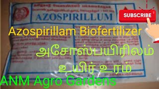 Azospirillum Biofertilizer [upl. by Halika698]