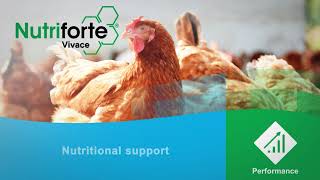 Kanters Nutriforte® Vivace product video English [upl. by Averill]