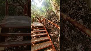 Stairs at Machu Picchu [upl. by Ainej]