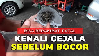 Begini Gejala Water Pump Mobil Rusak Kenali Sebelum Menjadi Parah [upl. by Hersh]