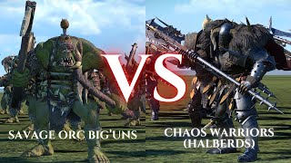 WARHAMMER III Total War  Savage Orc BigUns VS Chaos Warriors Halberds [upl. by Daune734]