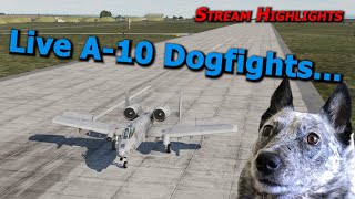 Guns Only A10 PvP Dogfight Stream Highlights  Real Pilot Plays DCS World [upl. by Cadal]