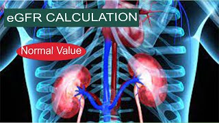 eGFR Calculation [upl. by Llewxam]