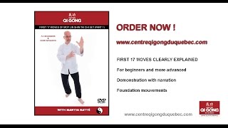 FIRST 17 MOVES OF MOY LIN SHIN TAI CHI SET DVD [upl. by Helali]