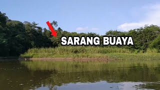 WOW JALA IKAN DI SARANG BUAYA [upl. by Aisya945]