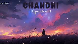 Chandni Slowed  Reverb  Sachet Tandon Parampara Tandon  LoFi BeAtS [upl. by Ebberta]