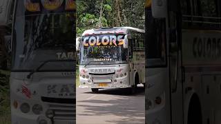 Targaryen👀💫Zedone beauty colors holidaysTourist bus trending whatsapp status bus shorts colors [upl. by Forcier]