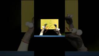 RIGHTY AND LEFT ANATOMY puppet funny comedy [upl. by Salahcin2]