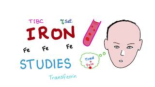 Iron Studies  Serum Fe TIBC ferritin amp Transferrin  Saturation [upl. by Benedicto]