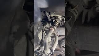 Jeep antifreeze leak ￼ [upl. by Vonni]