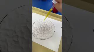 Paint with Vinegar amp Baking Soda  Science Experiment Art Project  Science for Preschoolers [upl. by Nelyaw]