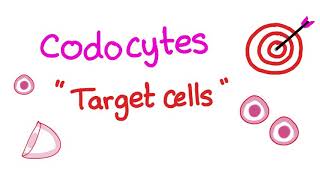 Codocytes Target Cells  Hematology Labs [upl. by Atirb]