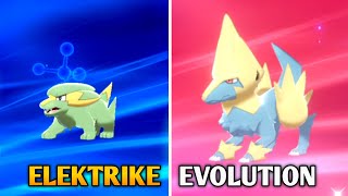 Electrike Evolution In Pokemon Sword amp Shield  Galar Pokedex [upl. by Archibaldo571]