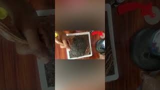 Chocolate brownie recipe in tamil [upl. by Eriha]