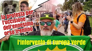 la protesta per luccisione dellennesimo orso trentino [upl. by Assilac]