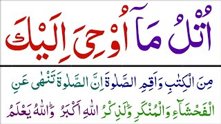 Para 21 30  Fast Taraveeh Recitation Learn Quran with Tajweed learnquran252 [upl. by Ikila126]