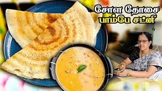 ❤️சோள தோசைக்கு மாவு அரைச்சு மொறு மொறுனு சுட்டு கொடுங்க  Chola Dosai  சோள தோசை  Chola Dosai Tamil [upl. by Noimad]