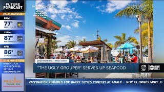 Interview with Ugly Grouper GM [upl. by Arayk]