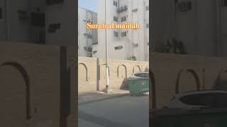 Surah Al Maidah ytshorts love viralshorts viralvideo shorts birds duet love subscribe [upl. by Husch]