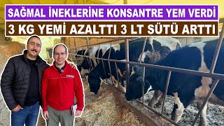 Sağmal İneklerine Konsantre Yem Verdi  3 Kg Yemi Azalttı 3 Lt Sütü Arttı [upl. by Seuqcaj]