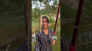 পূজা ছিপ দিয়ে ইলিশ মাছ ধরলো 🎣🤭174 bengali hook fishing video  village hook fishing [upl. by Beore]