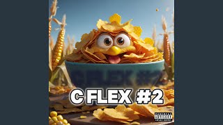 C FLEX 2 [upl. by Nosnor]