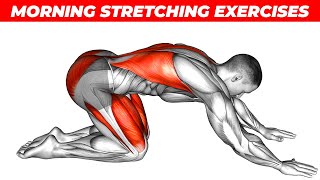 6 Best Morning Stretching Exercises For Beginners [upl. by Domenico]