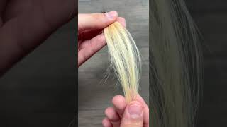 BLEACHING HAIR TO PLATINUM hairdye diyhair colorswatch beauty hairstylist [upl. by Undry]