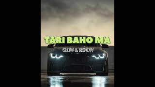 Teri bahon me jina hai marna hai ishq me tere new song Bhul bhulaiya 3 Kartik Aryan Tripti slow [upl. by Eliott989]