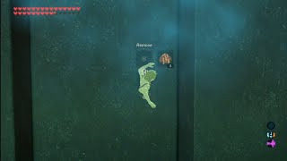 Botw How to shield clip through walls in Master sword trials [upl. by Eyahs]