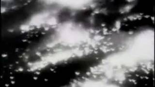 1945 Dresden Bombing Newsreel [upl. by Darsie]