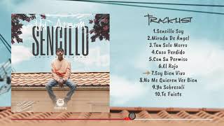 Un Album Sencillo  Polo Gonzalez Teaser [upl. by Arbmat890]