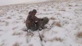 Opening Day Of Rifle Mule Deer Hunting Season Alberta Canada Willow Creek Outfitters [upl. by Ofella]