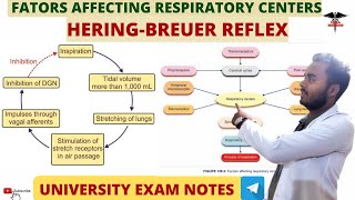 HeringBreuer Reflex Factors Affecting Respiratory Centers Respiratory system physiology [upl. by Dao]