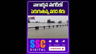 Heavy Water InFlow To Nagarjuna Sagar Dam  Shorts Sscdigital Balannamuchatlu [upl. by Apur819]