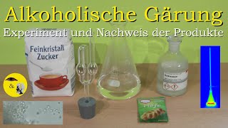 Alkoholische Gärung  Experiment und Nachweis der Produkte [upl. by Ahsirek]