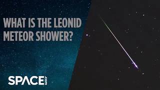 What is the Leonid Meteor Shower [upl. by Atnek]