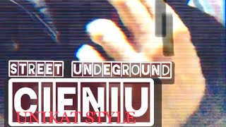 CIENIU NIEBEZPIECZNA Z NATURY  street underground rap [upl. by Encratis]