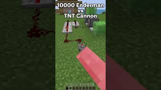 Minecraft 10000 Enderman vs TNT Cannon🔥 もういいよ minecraft shorts [upl. by Utham]