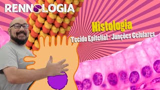 Histologia  Tecido Epitelial  Junções Celulares [upl. by Myra]