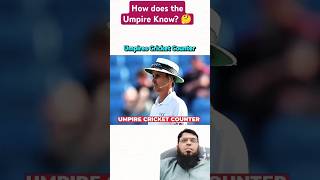 How does the Umpire Know 🤔 viralshort cricket viralvideo [upl. by Micki276]