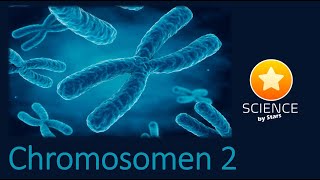 chromosomen 2 [upl. by Ortrude438]