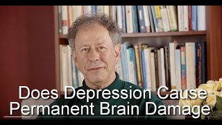 Does Depression Cause Permanent Brain Damage [upl. by Claudie322]