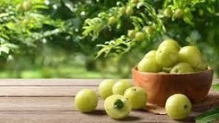 🙋Amla Or Indian Gooseberry Benefits😍calmyoursoulwithyoga amla [upl. by Halstead]