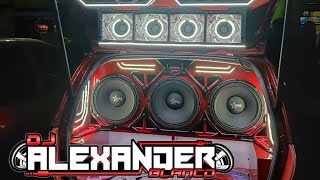 SE PONE HACER MORISQUETA DOBLE TONO DJALEXANDER BLANCO 2K24 🤍 🔥 [upl. by Ranchod]