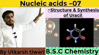 Structure and Synthesis of Uracil  Nucleic acid  N2 bases  BSC Chemistry [upl. by Anala]