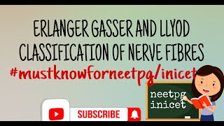 ERLANGER GASSER AND LLYOD CLASSIFICATION of nerve fibres physiology [upl. by Nyllaf]