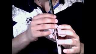 Newgrange  tin whistle tutorial Wolfe Tones version [upl. by Rosario]