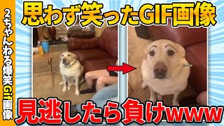 【おもしろgif総集編】思わず吹いた爆笑gif画像集ww 【コメ付き】【ゆっくり解説】【2chスレ】【5ch】 [upl. by Eleirbag]